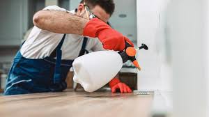 Best Emergency Pest Control  in Moulton, AL